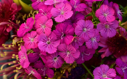 1756383 (a): :2560x1600